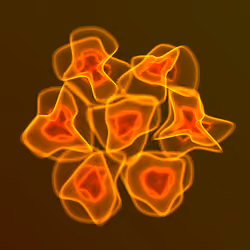 Flowers #2028