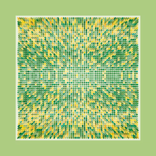 Transitions By Jason Ting X Matt Bilfield