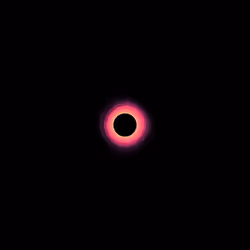 Singularity #251