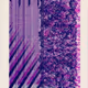 365000238