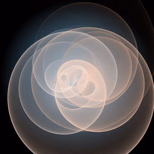 Item #221000006 Media