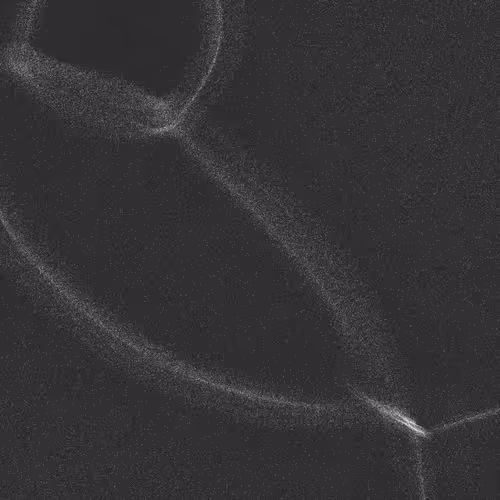 Item #320000157 Media