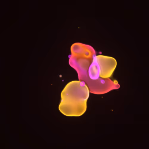 Item #62000291 Media