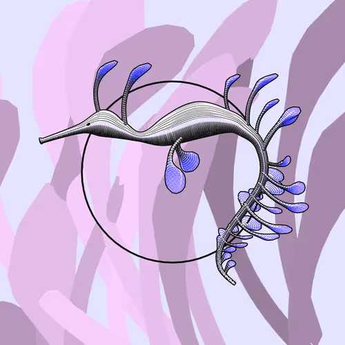 Item #160000509 Media