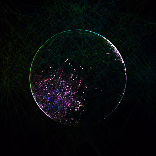 Item #178000544 Media