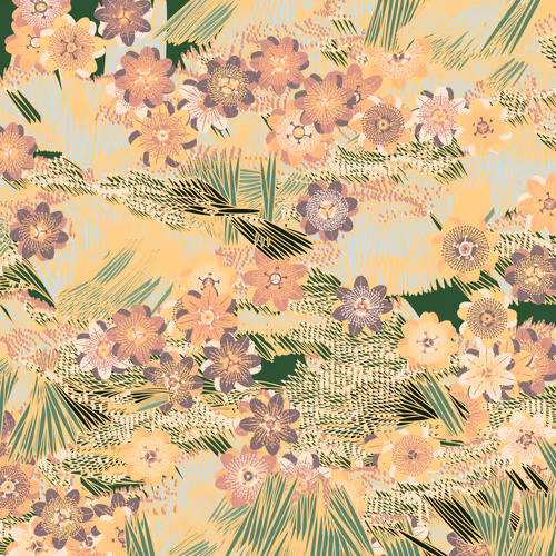 Fragments of an Infinite Field #530