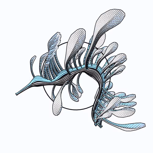 Seadragons #169