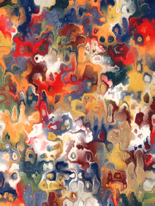 Item #366000166 Media