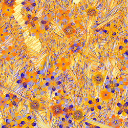 Fragments of an Infinite Field #353
