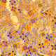 Fragments of an Infinite Field #353