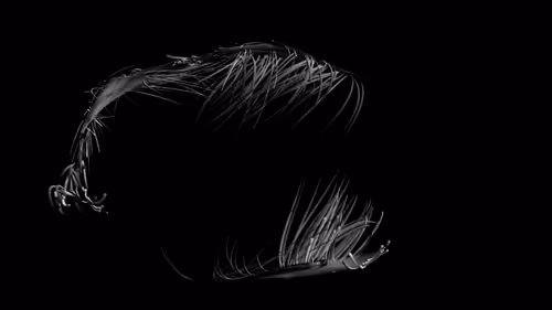 Item #201000019 Media