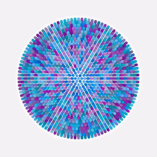 Transitions #2337