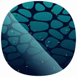 Item #107000256 Media