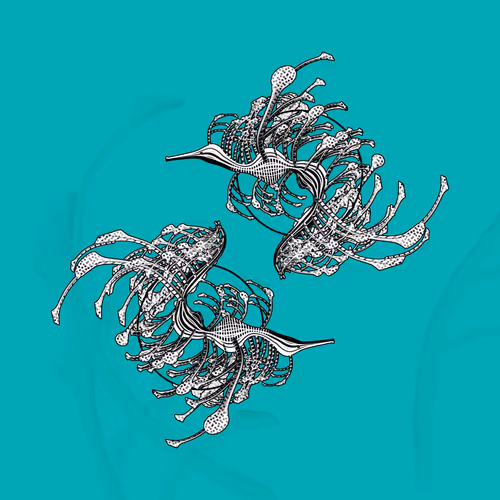 Seadragons #255