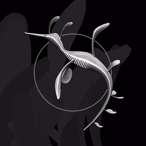 Seadragons #994
