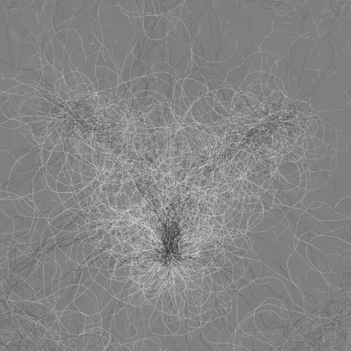 Phototaxis #594