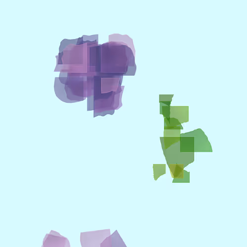 Bloom #10
