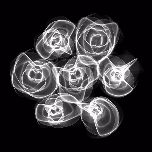 Flowers #6122