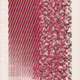 365000233