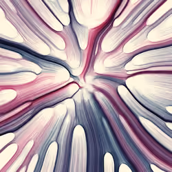 Gravity 12 #212