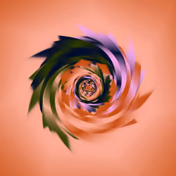 Rotor #253