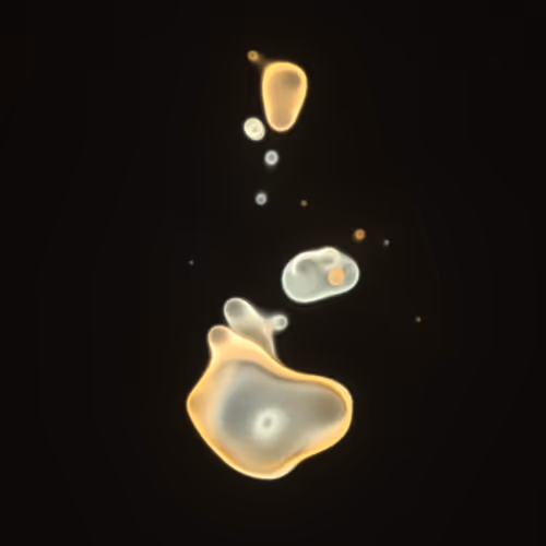 Item #62000394 Media