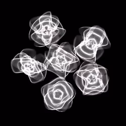 Flowers #237