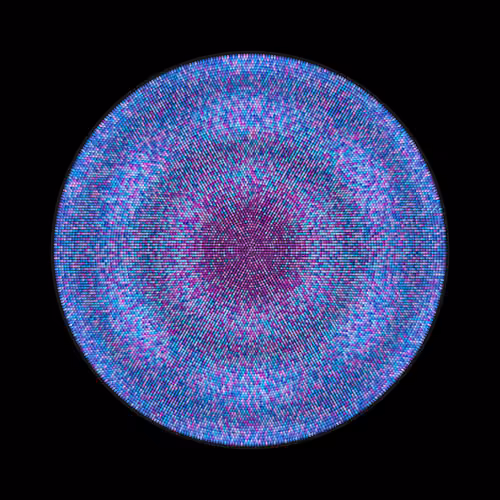 Transitions #1165