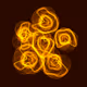 116004249