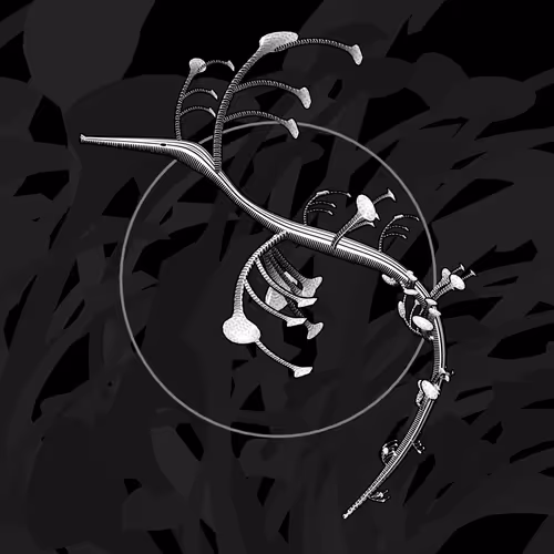 Item #160000798 Media