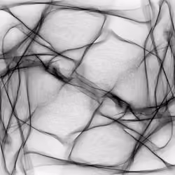 Synapses #572