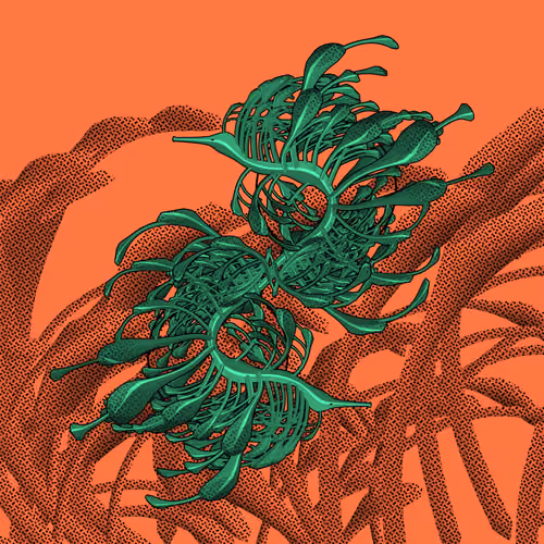 Seadragons #985