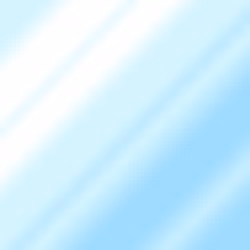 Item #24000225 Media