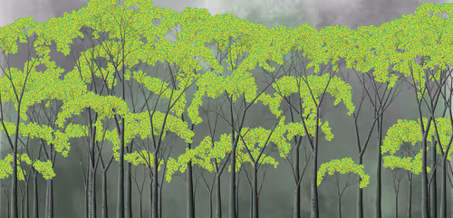 Item #254000059 Media