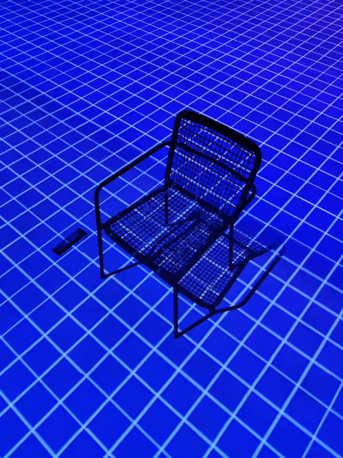 Item #79 Media