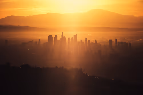 Item #30300010027 Media