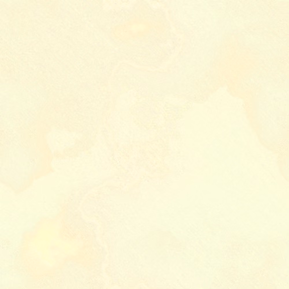 Infinite #505