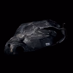 CAR // 0815
