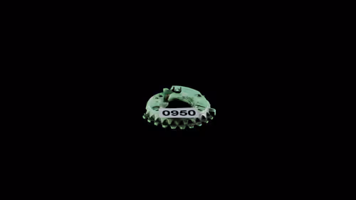 Item #950 Media