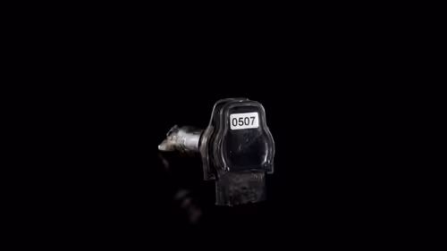 Item #507 Media