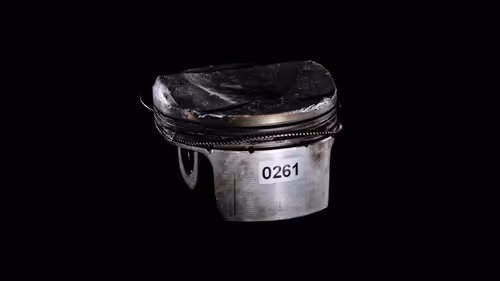 Item #261 Media