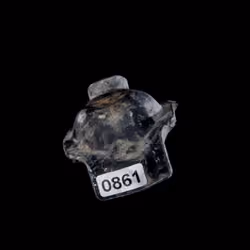 CAR // 0861