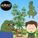 Pepe Flow