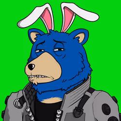 Bullish Bear 50