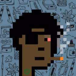 420 Punks #24