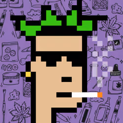 420 Punks #47