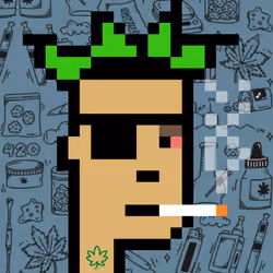 420 Punks #9