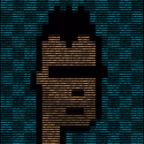 A5c11 Punk5
