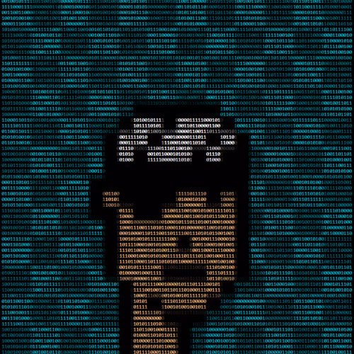 A5c11 Punk5