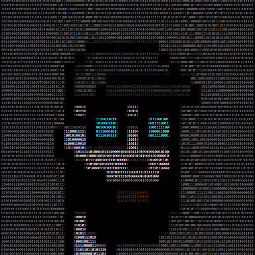 A5c11 Punk5